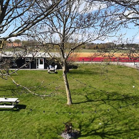 Chalet Egmond Egmond aan den Hoef Dış mekan fotoğraf