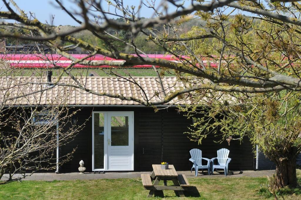 Chalet Egmond Egmond aan den Hoef Dış mekan fotoğraf