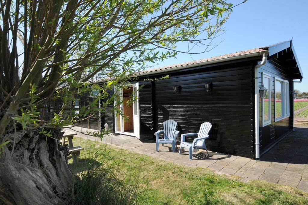 Chalet Egmond Egmond aan den Hoef Dış mekan fotoğraf