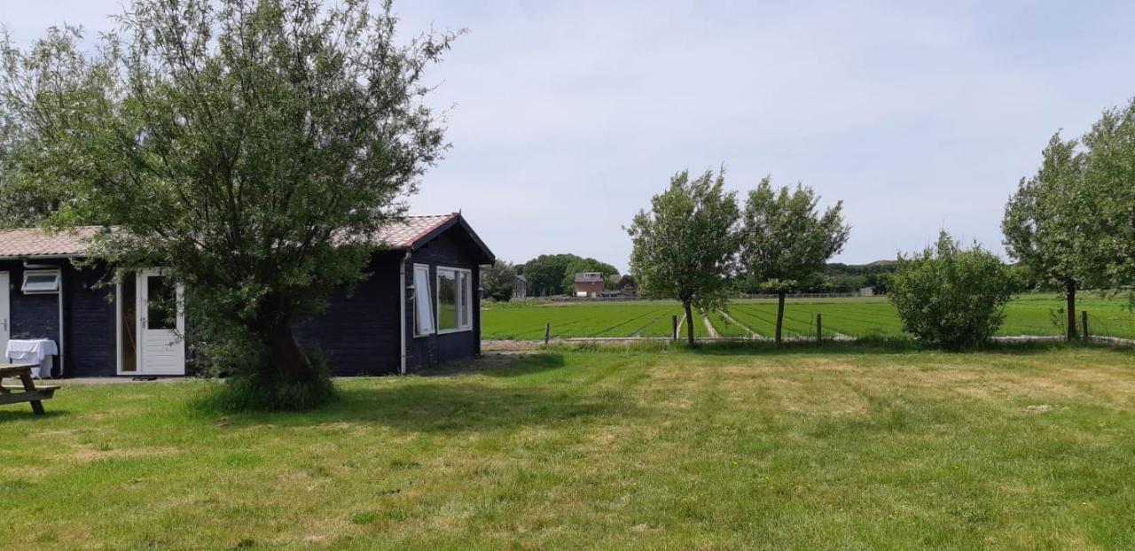 Chalet Egmond Egmond aan den Hoef Dış mekan fotoğraf